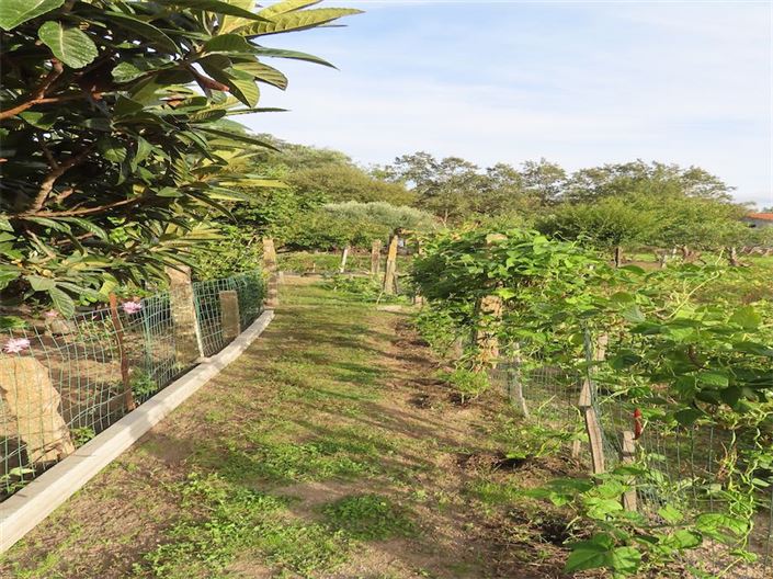 Image No.12-Property for sale