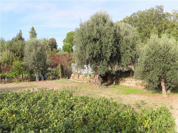 Image No.19-Property for sale