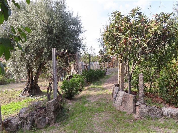 Image No.4-Property for sale