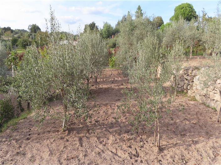 Image No.40-Property for sale