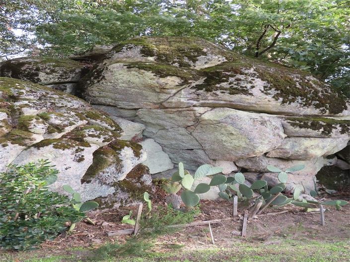 Image No.48-Property for sale