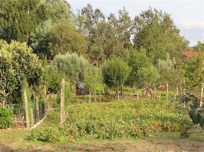 Image No.9-Property for sale