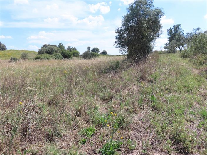 Image No.10-Property for sale