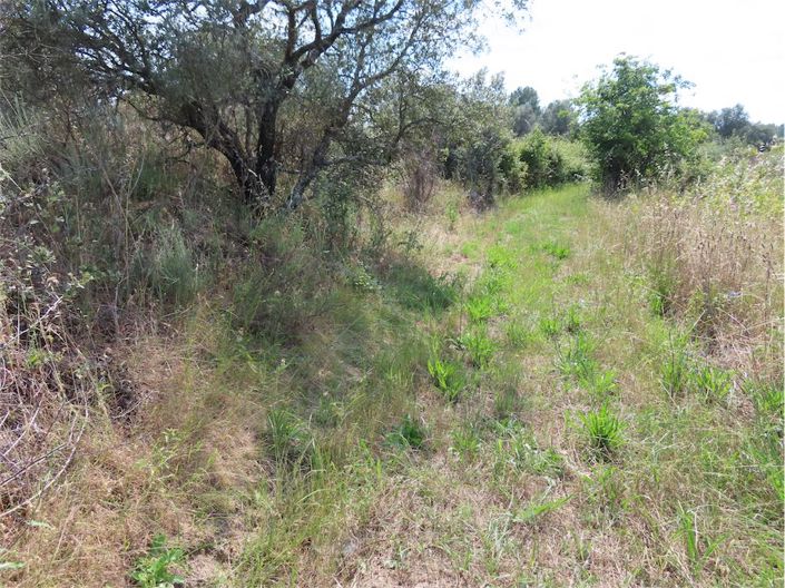 Image No.13-Property for sale