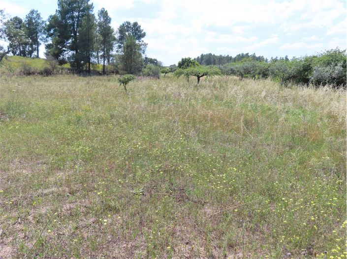 Image No.5-Property for sale