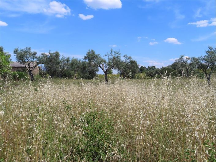 Image No.6-Property for sale