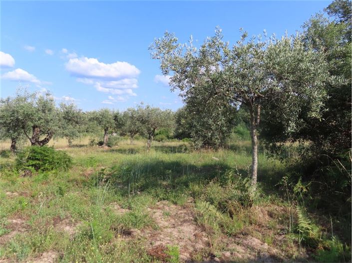 Image No.10-Property for sale