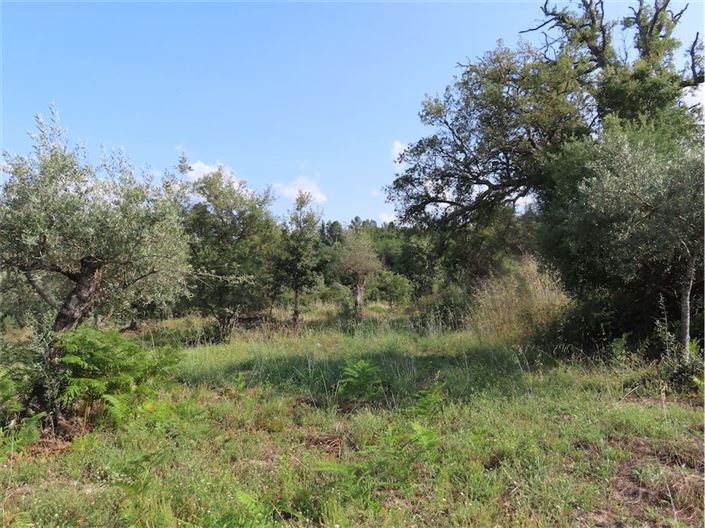 Image No.12-Property for sale