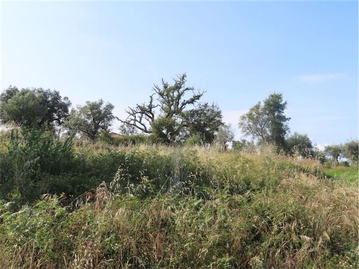 Image No.18-Property for sale