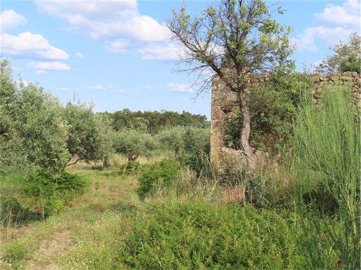 Image No.21-Property for sale