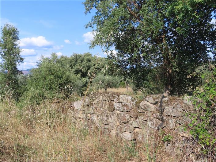 Image No.6-Property for sale