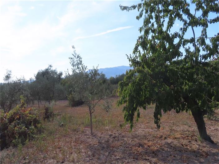 Image No.10-Property for sale