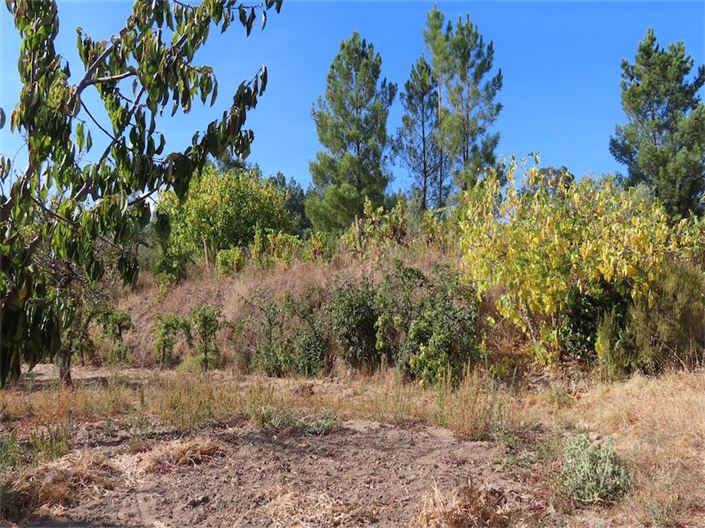 Image No.11-Property for sale