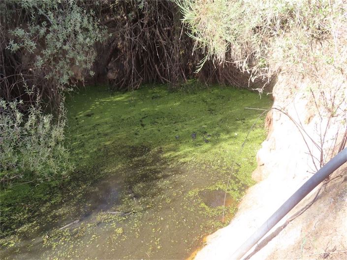 Image No.14-Property for sale