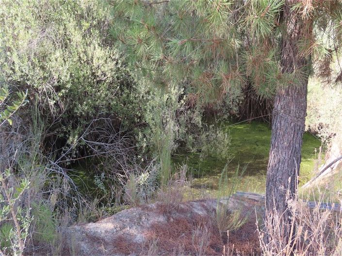 Image No.17-Property for sale