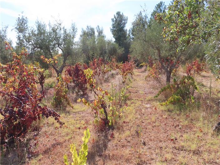 Image No.21-Property for sale