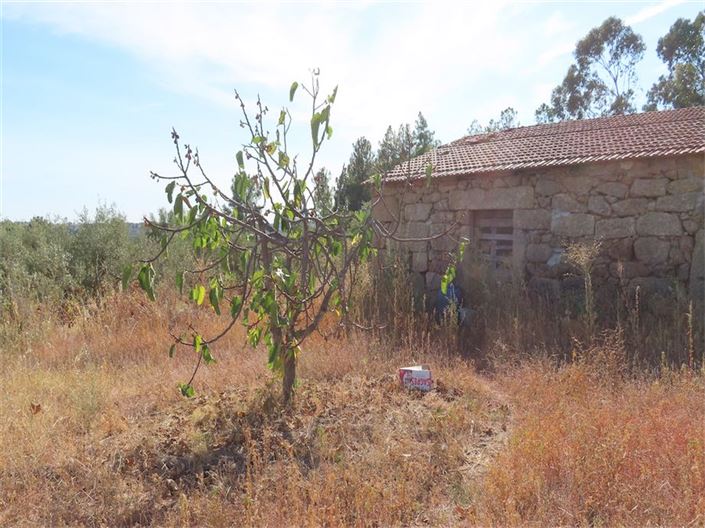 Image No.25-Property for sale