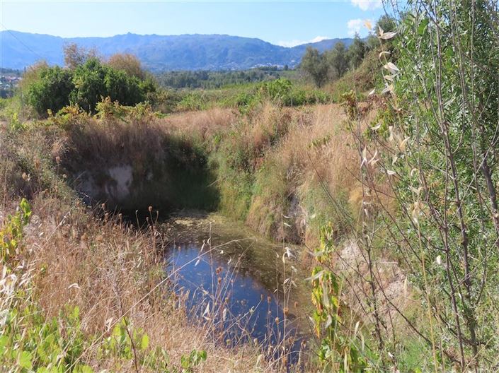 Image No.3-Property for sale