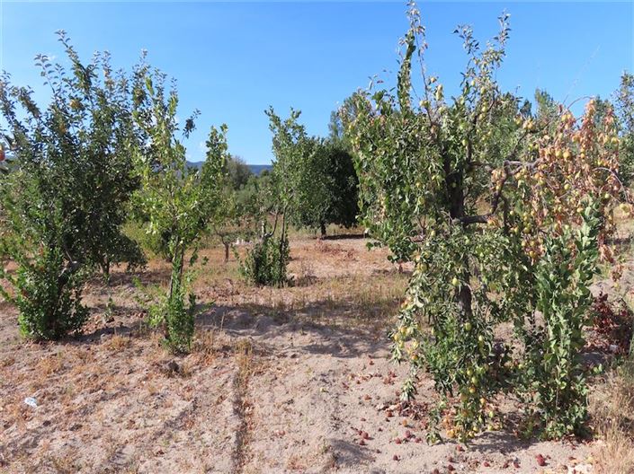 Image No.4-Property for sale