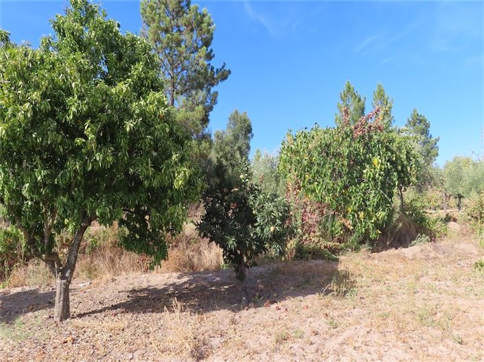 Image No.7-Property for sale