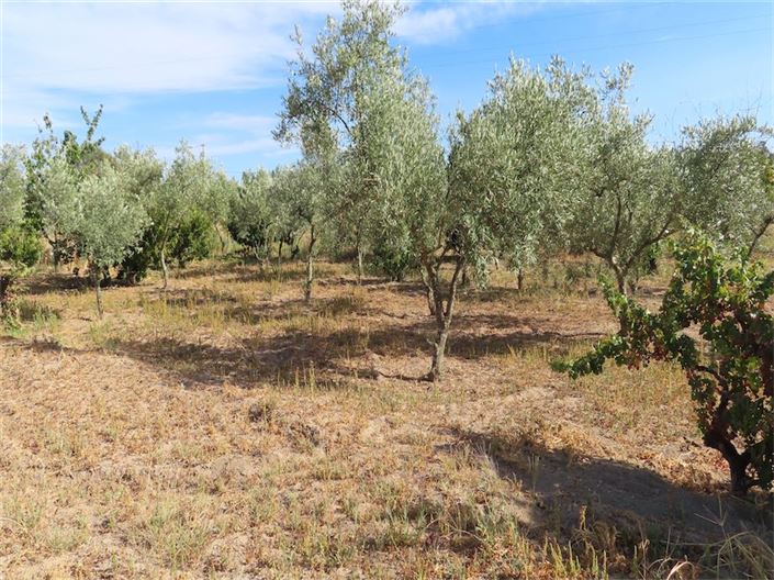 Image No.8-Property for sale