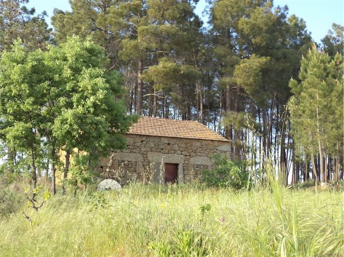 Image No.1-Property for sale