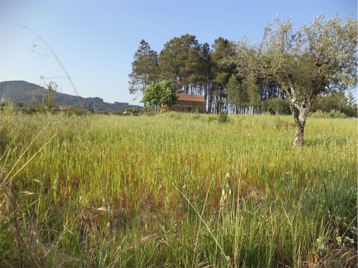 Image No.10-Property for sale