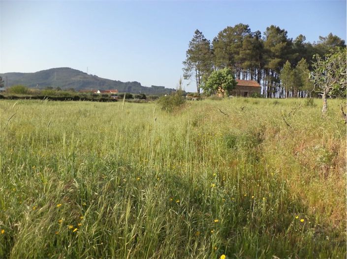 Image No.12-Property for sale