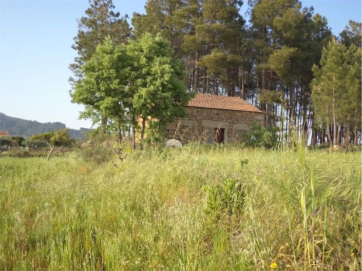 Image No.2-Property for sale