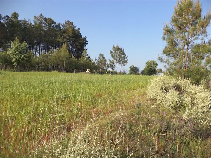 Image No.20-Property for sale