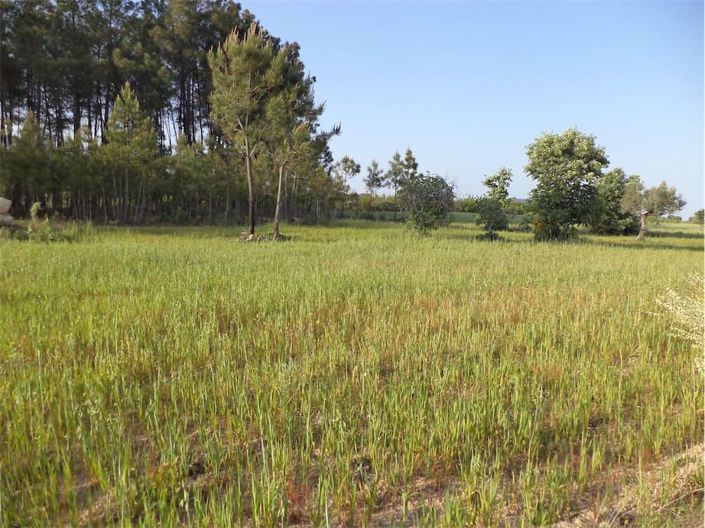 Image No.21-Property for sale