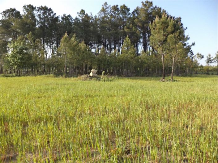 Image No.22-Property for sale