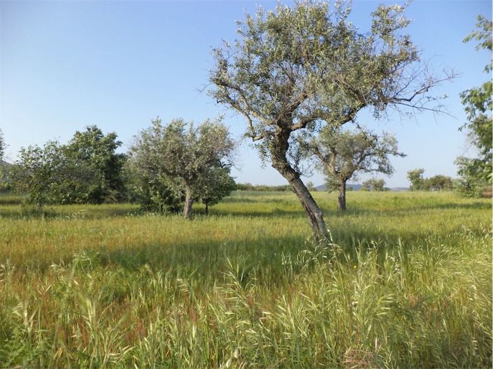 Image No.24-Property for sale