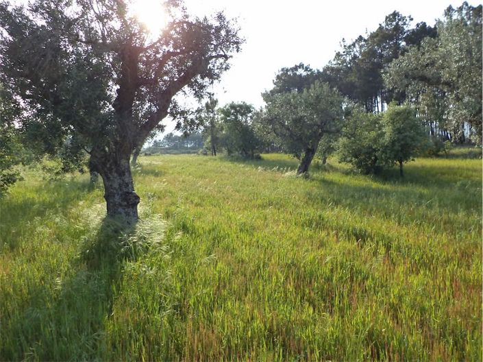 Image No.25-Property for sale