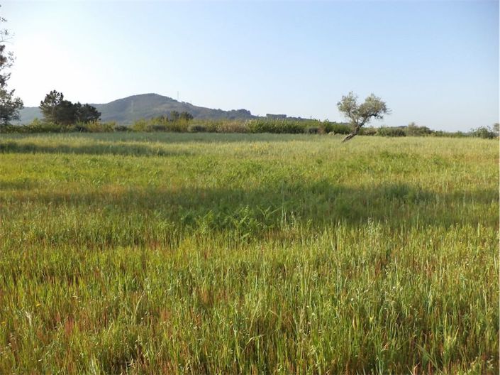 Image No.26-Property for sale