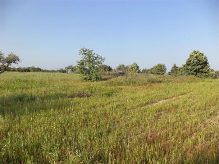 Image No.27-Property for sale