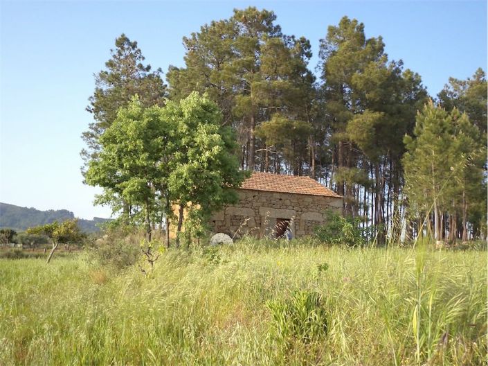 Image No.3-Property for sale