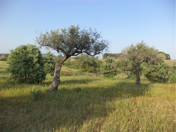 Image No.30-Property for sale