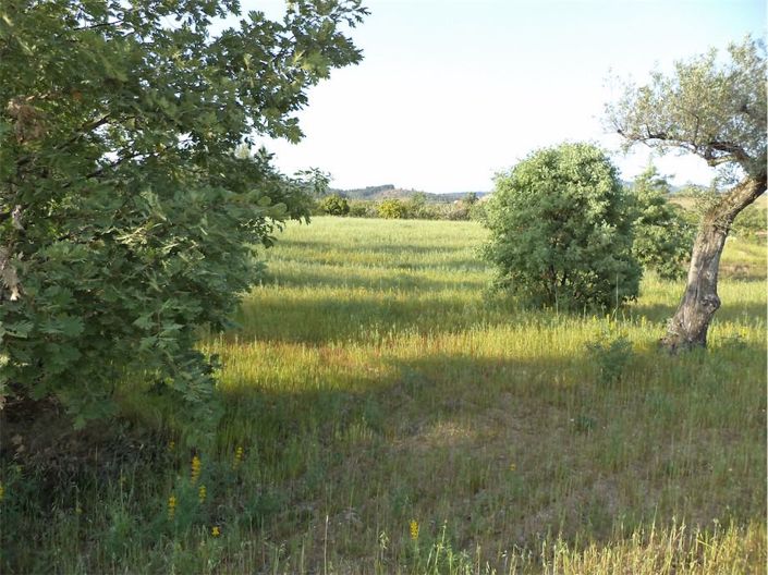 Image No.31-Property for sale