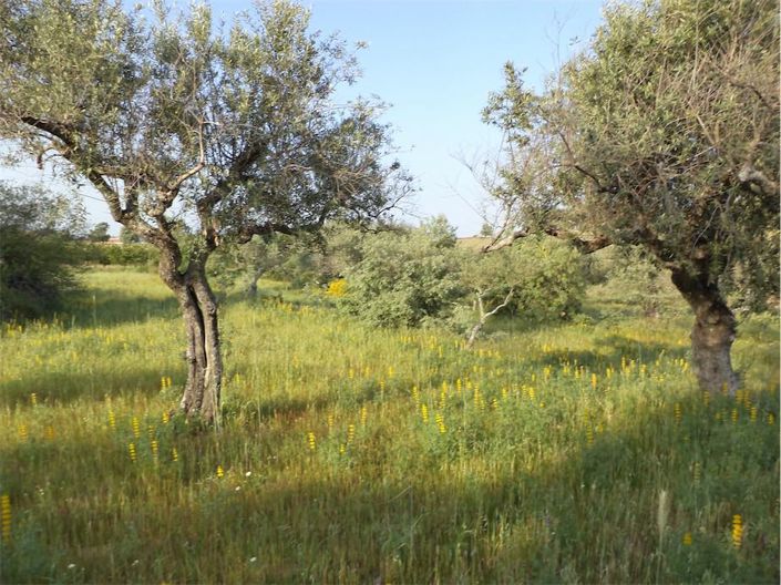 Image No.33-Property for sale