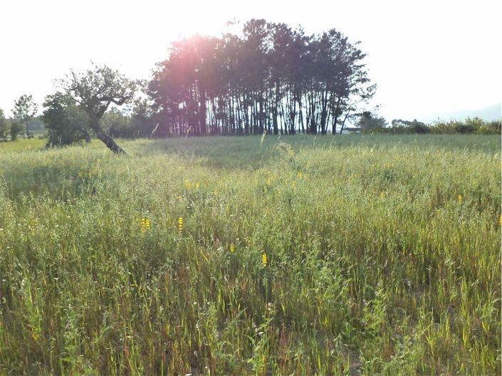 Image No.37-Property for sale