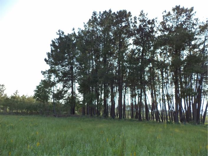 Image No.38-Property for sale