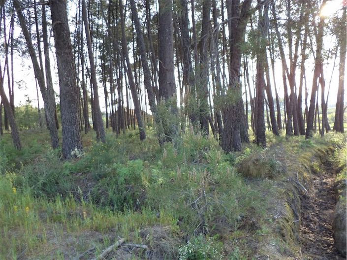 Image No.39-Property for sale