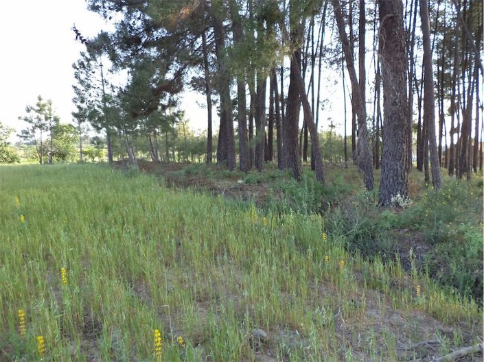 Image No.40-Property for sale