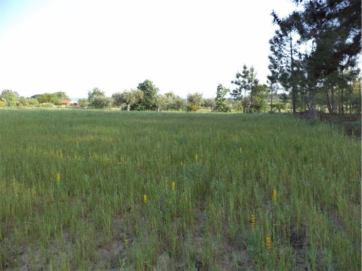 Image No.41-Property for sale