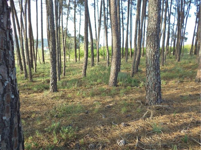 Image No.45-Property for sale