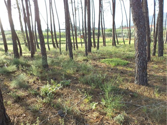 Image No.46-Property for sale