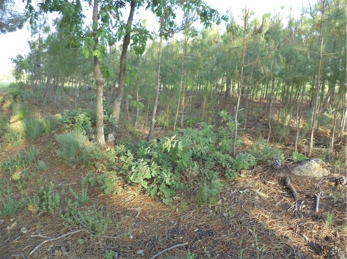 Image No.47-Property for sale