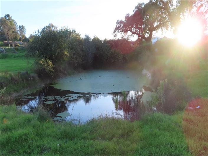 Image No.18-Property for sale