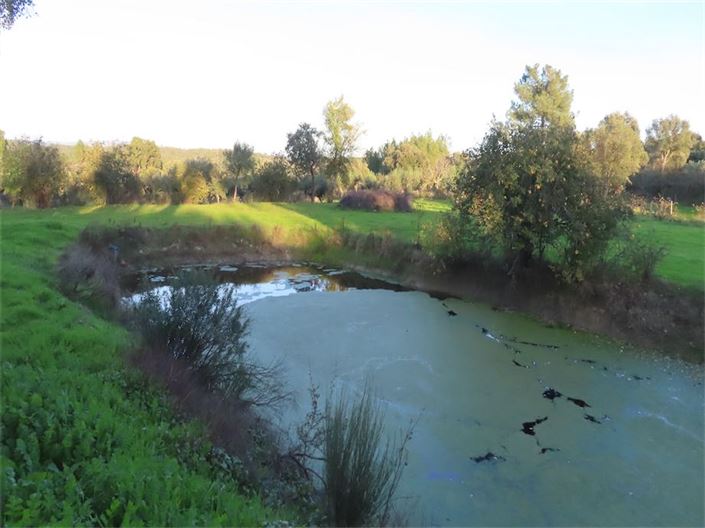 Image No.20-Property for sale